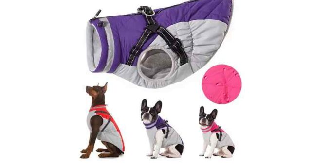 Hundejacke verschiedene Farben gross klein
