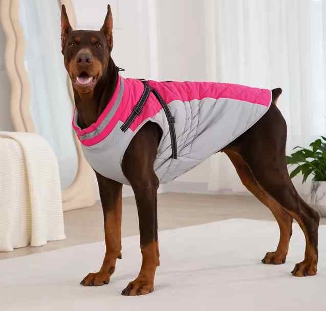 Hundejacke verschiedene Farben gross klein angezogen
